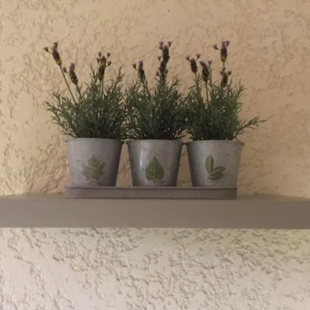 110 Grande Terrasse Proche *