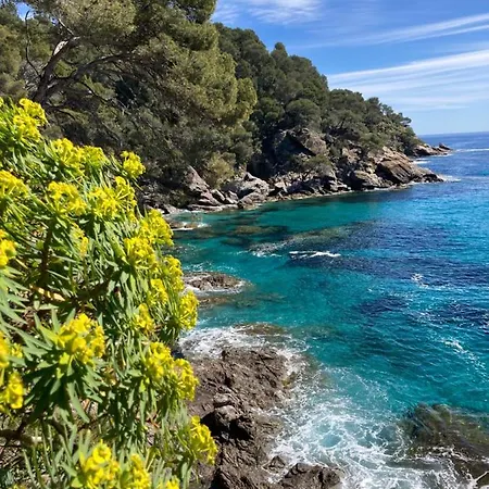 110 Grande Terrasse Proche * Bandol