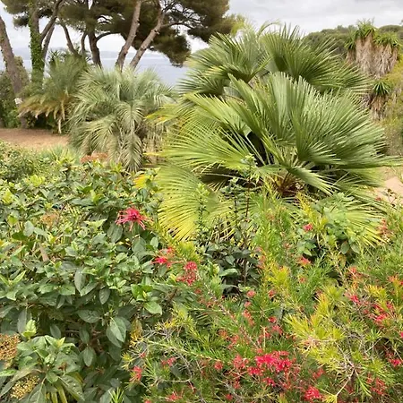 Appartamento 110 Grande Terrasse Proche *