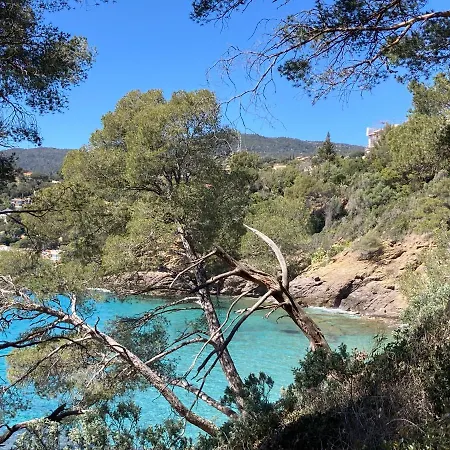 110 Grande Terrasse Proche *