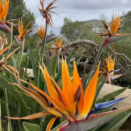 Appartement 110 Grande Terrasse Proche