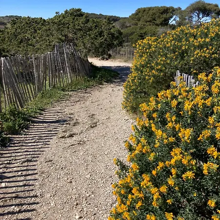 110 Grande Terrasse Proche